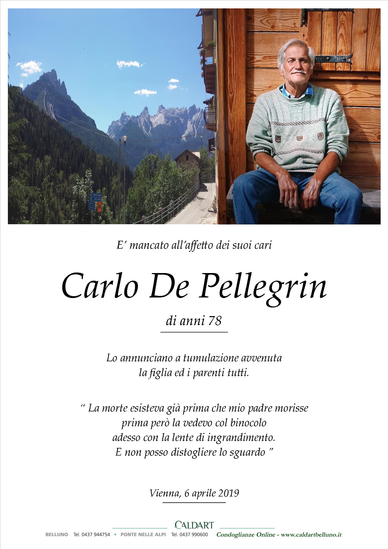 De Pellegrin Carlo