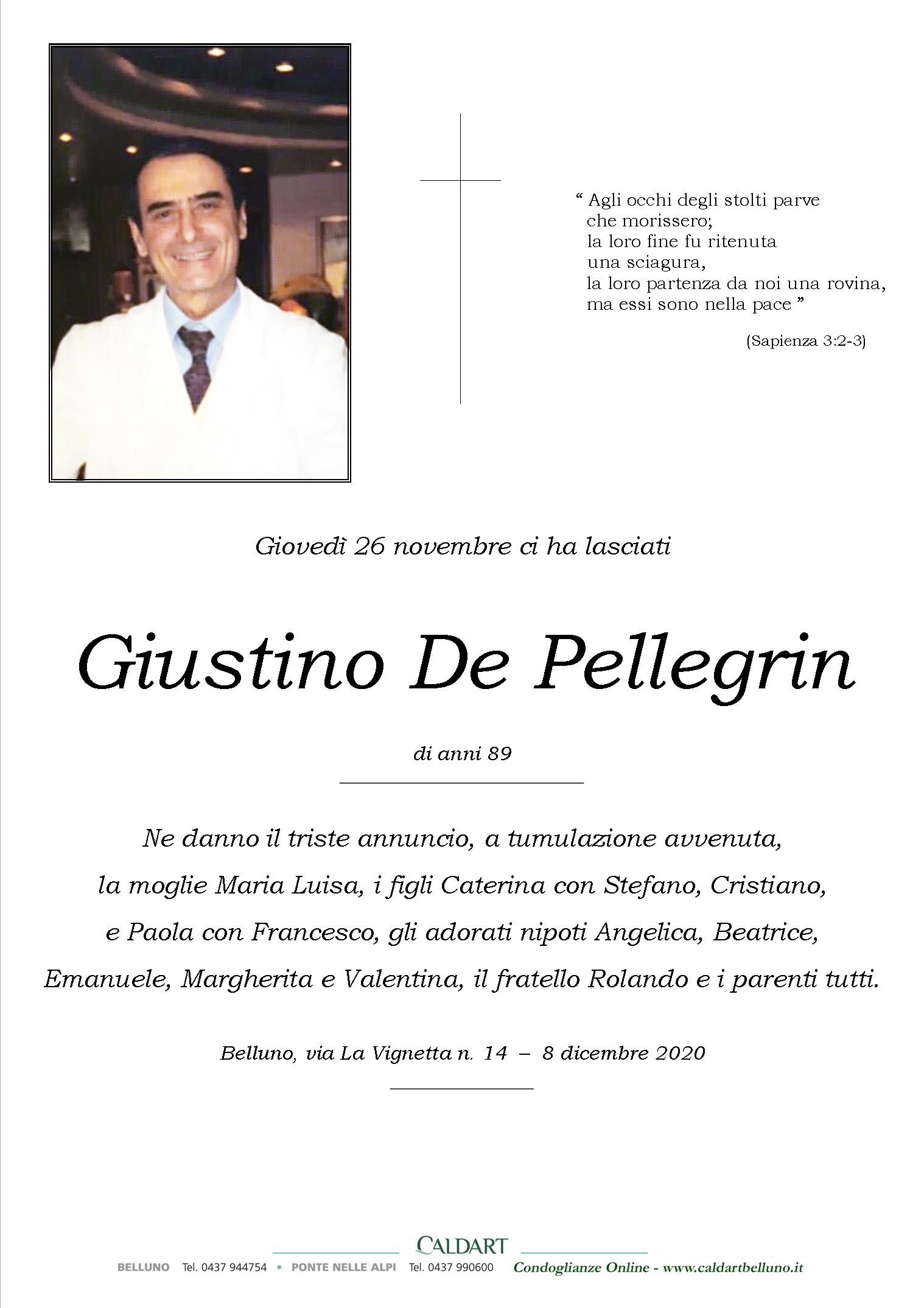 De Pellegrin Giustino