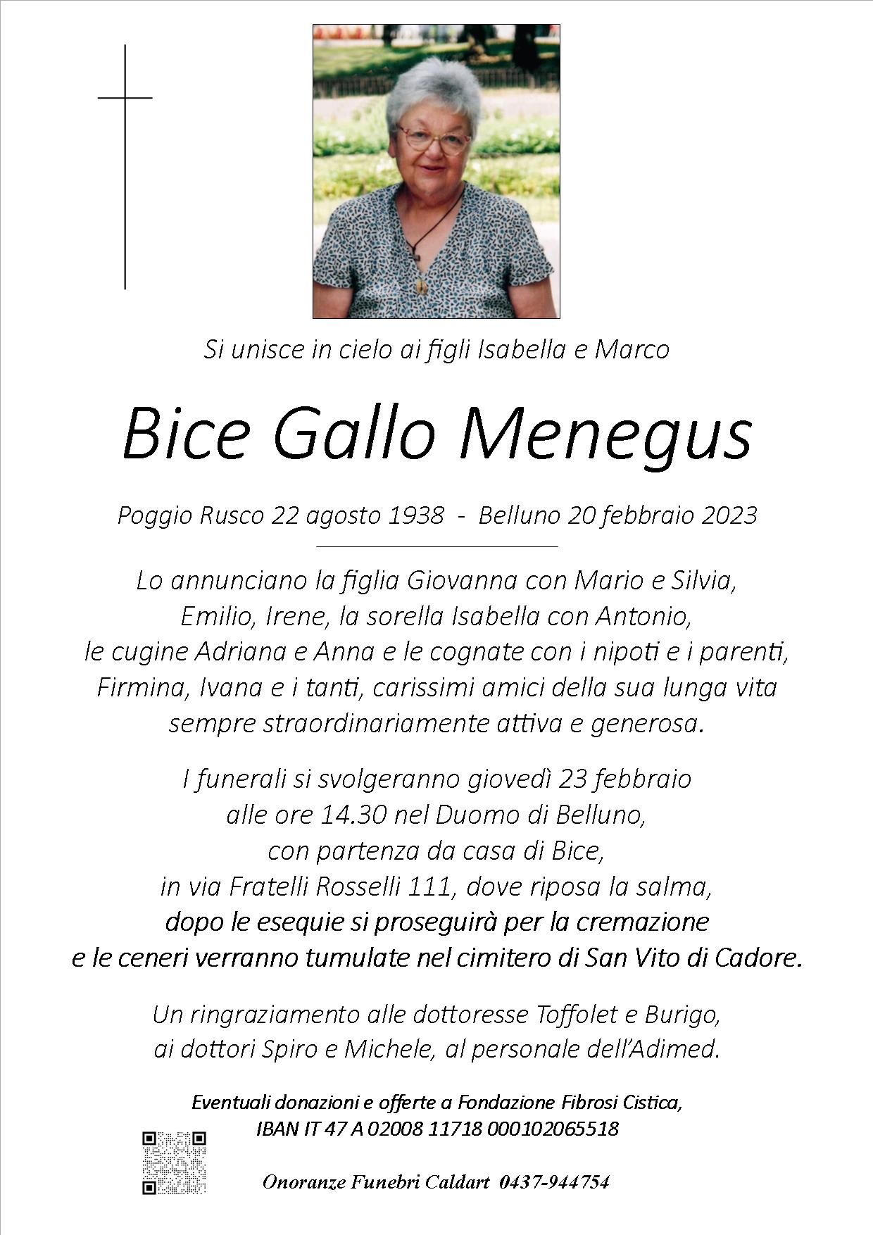 Gallo Bice