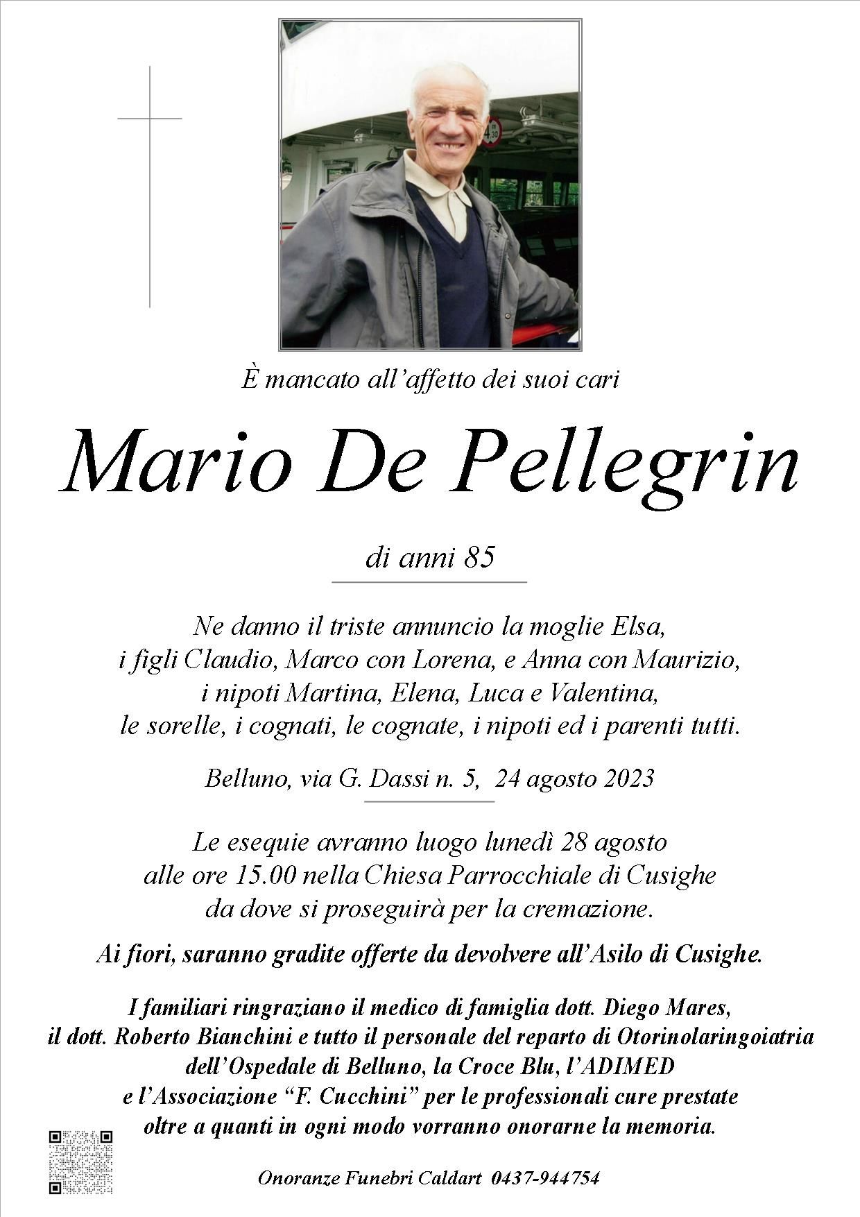 De Pellegrin Mario