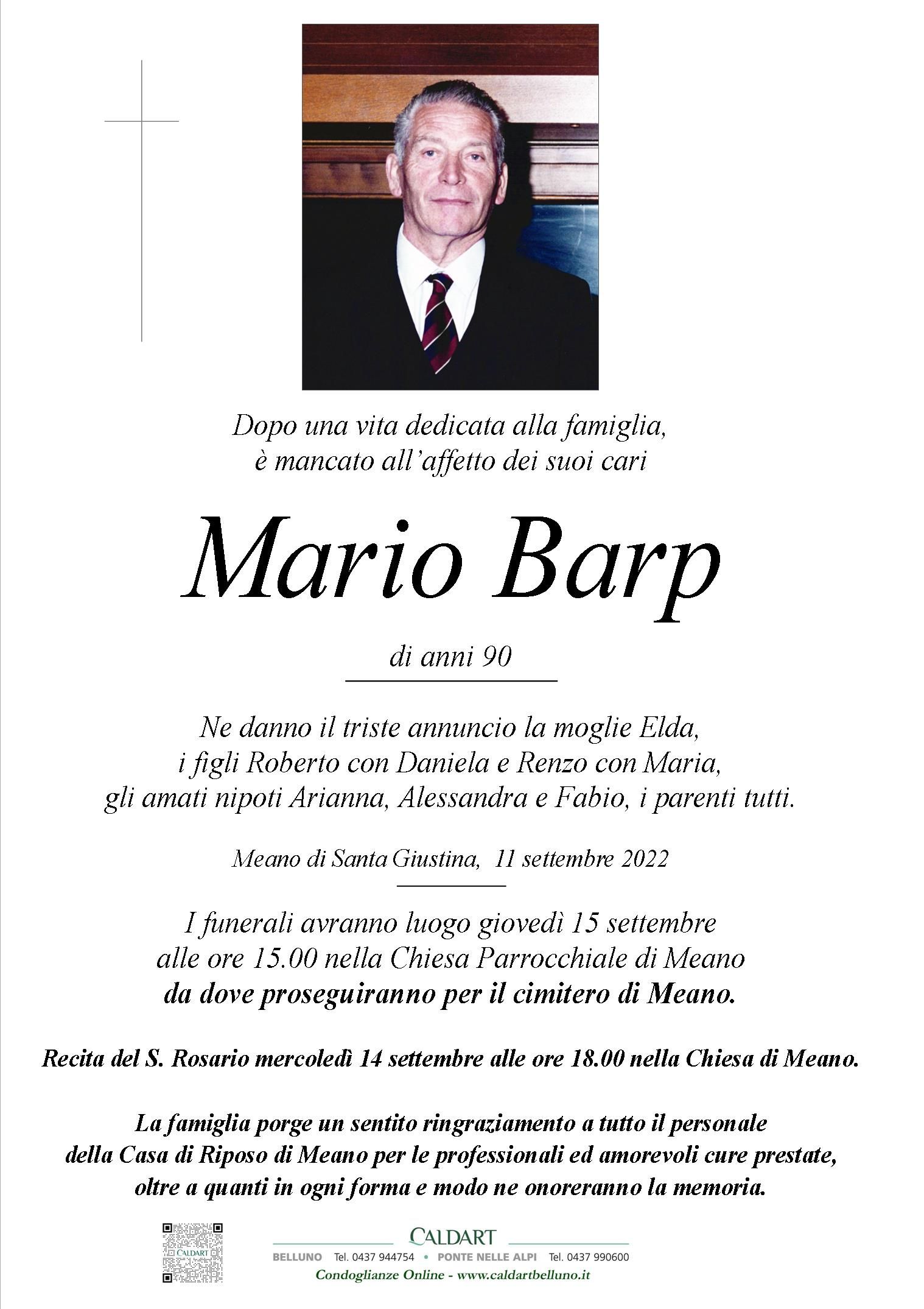 Barp Mario