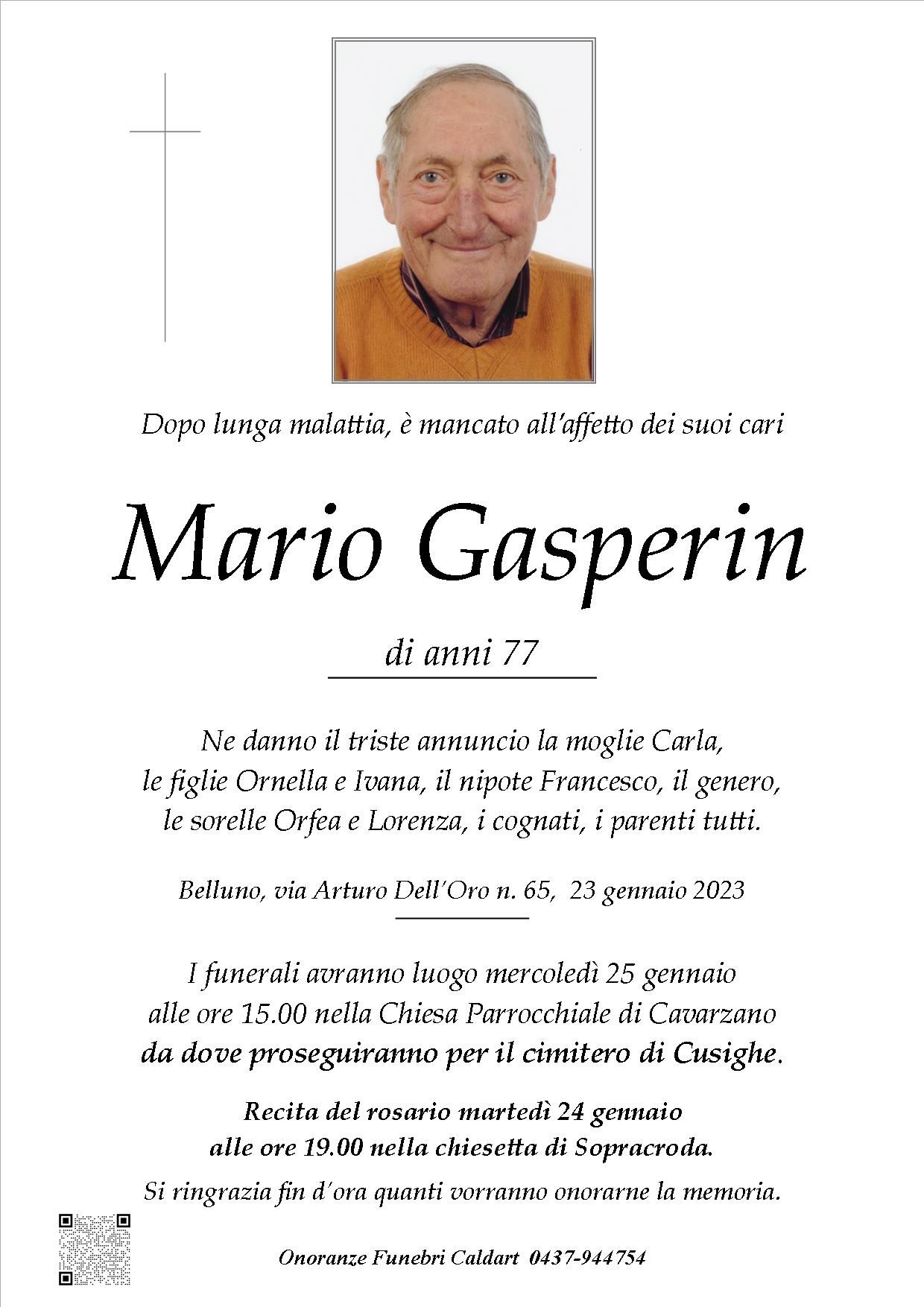 Gasperin Mario